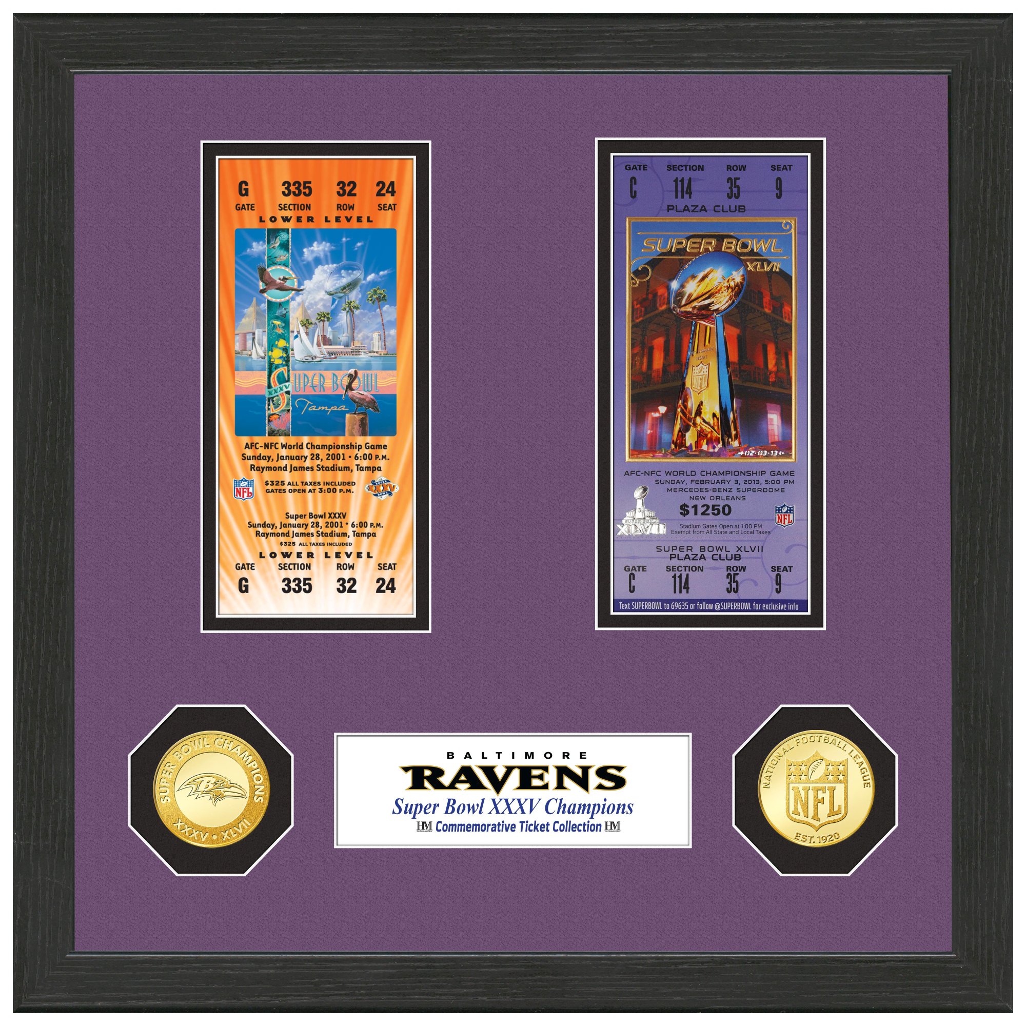 Packers Super Bowl Ticket and Bronze Coin Frame